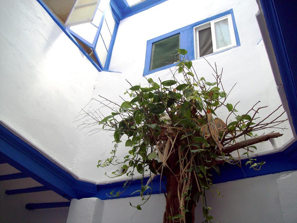 De Cadiz Cadi Hostel Exterior photo